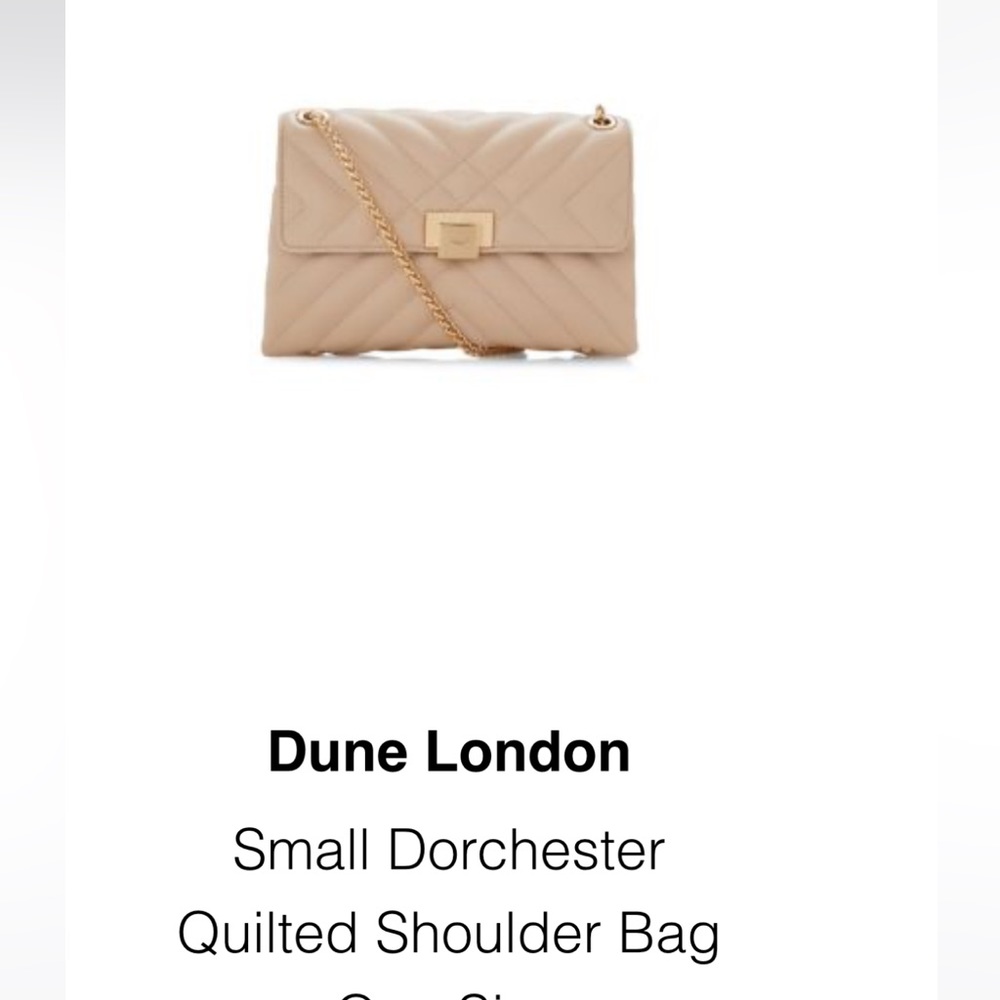 Dune London crossbody or shoulder bag